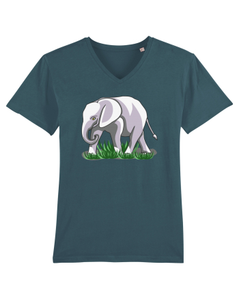 Elefant in iarba Stargazer