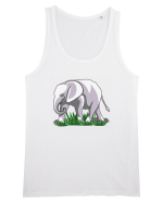 Elefant in iarba Maiou Bărbat Runs