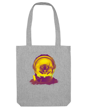 Pisica astronaut Heather Grey