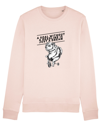 Deadlineless bear Candy Pink