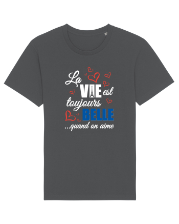 La belle vie Anthracite