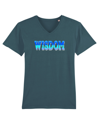 Wisdom Stargazer