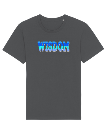 Wisdom Anthracite