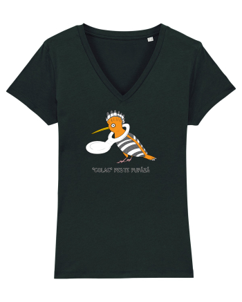 „Colac” peste pupaza Black