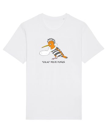 „Colac” peste pupaza White