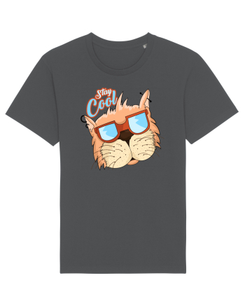 Stay cool Cat Anthracite