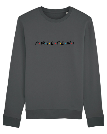 PRIETENI Anthracite