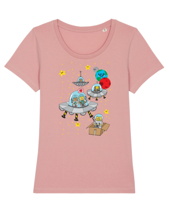 Space Cats Canyon Pink
