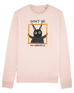 Don't be an asshole Bluză mânecă lungă Unisex Rise