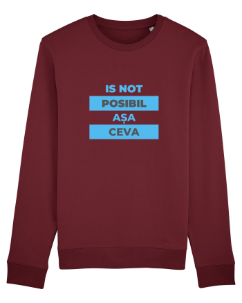 Is not posibil asa ceva Burgundy