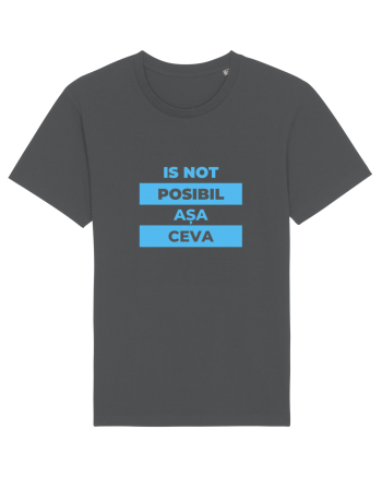 Is not posibil asa ceva Anthracite