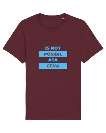 Is not posibil asa ceva Burgundy