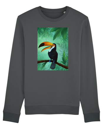 Tucan Anthracite