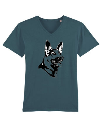 German Shepherd Stargazer