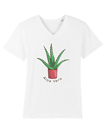 Planta Aloe Vera White