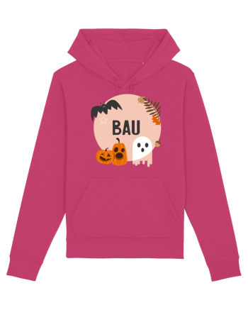 Bau Raspberry