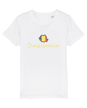 Transilvania Romania Harta Tricolora White