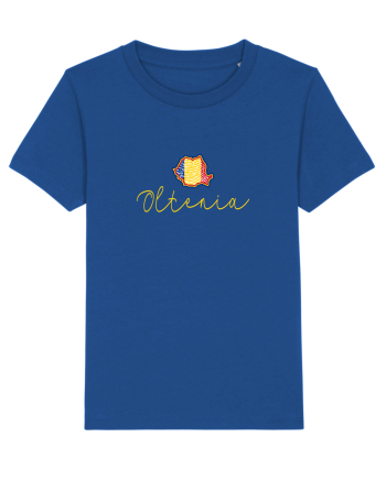 Oltenia Romania Harta Tricolora Majorelle Blue