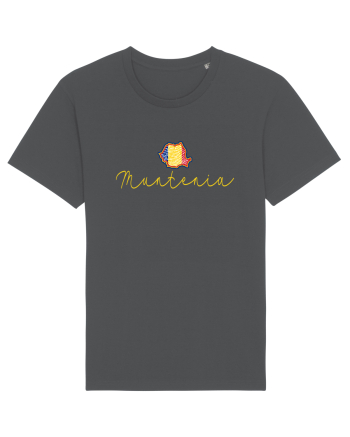 Muntenia Romania Harta Tricolora Anthracite