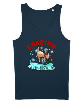 Craciun pe gheata Navy