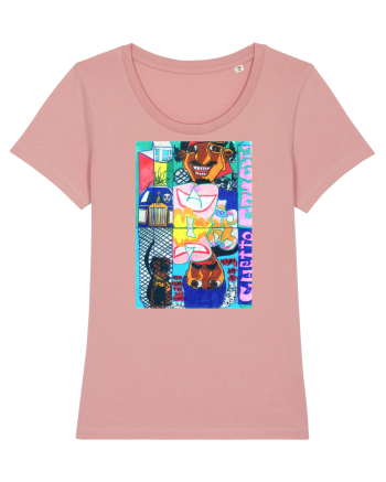 Hip-hop Canyon Pink