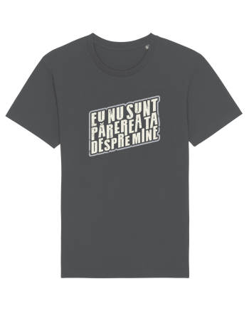 Eu nu sunt părerea ta despre mine Anthracite