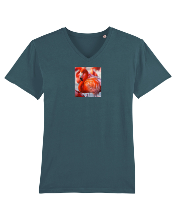 MrFlamingo Stargazer