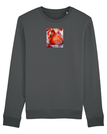 MrFlamingo Anthracite