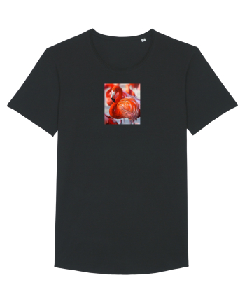 MrFlamingo Black