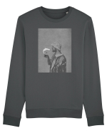 Fish in a glass Bluză mânecă lungă Unisex Rise