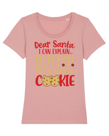 Dear Santa I Can Explain Canyon Pink