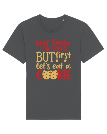 Dear Santa I Can Explain Anthracite