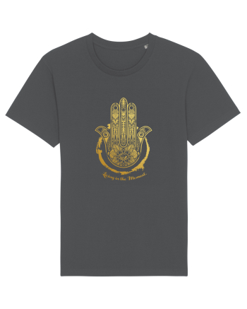 Hamsa   Anthracite