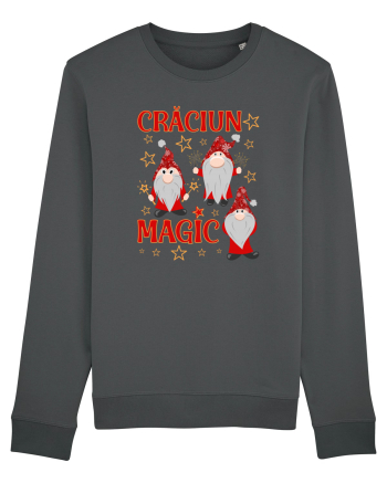 Craciun magic cu gnomi Anthracite