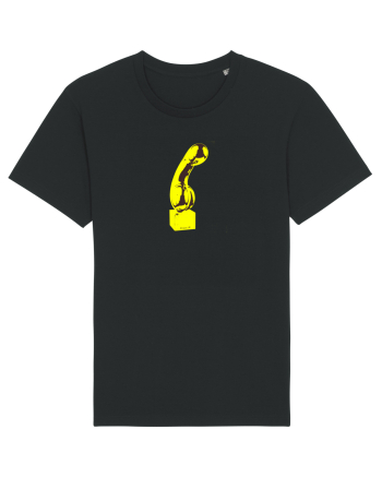 brancusi Black