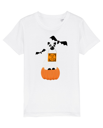 Halloween Carved Pumpkin Cat White