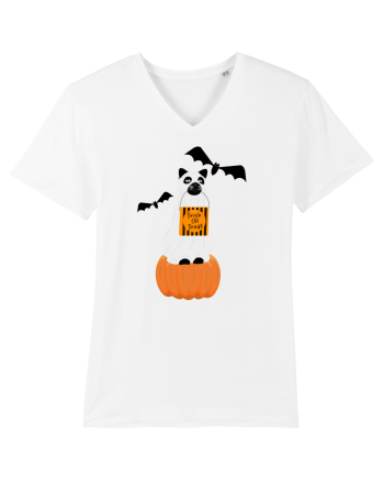 Halloween Carved Pumpkin Cat White
