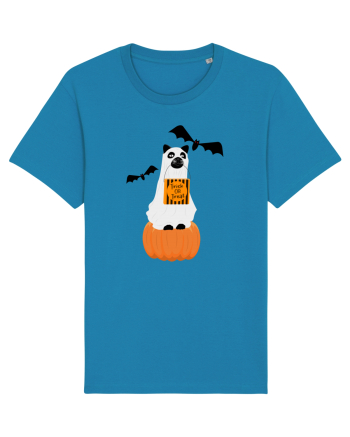Halloween Carved Pumpkin Cat Azur