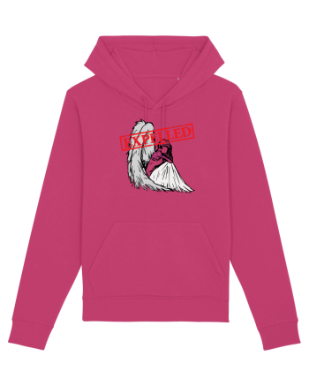 fallen angel Raspberry