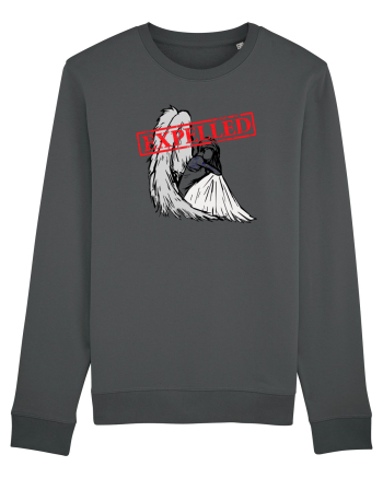 fallen angel Anthracite