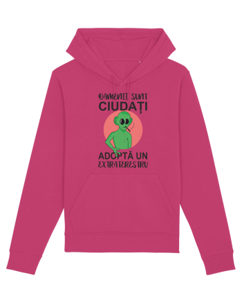 Adopta un extraterestru Raspberry