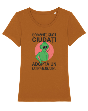 Adopta un extraterestru Roasted Orange