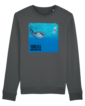Nirvana Nevermind Anthracite