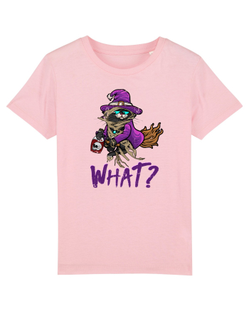 Pisica ucigasa de Halloween. What? Ce? Nimic ciudat la o pisica Cotton Pink