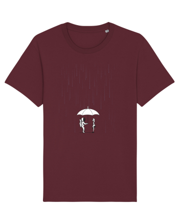meteor shower Burgundy