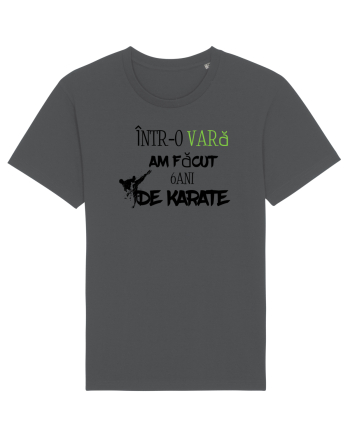 6 ani de karate  Anthracite