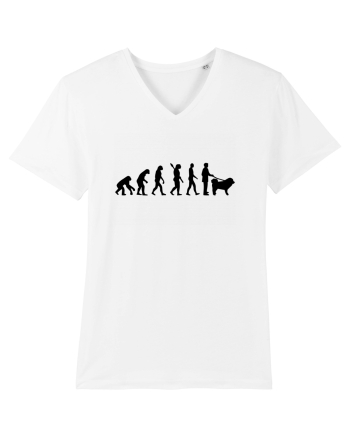 Evolution White