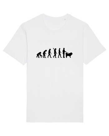 Evolution White