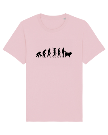Evolution Cotton Pink