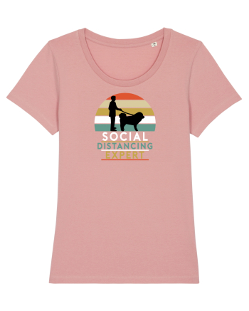 Social Tibetan Mastiff Canyon Pink
